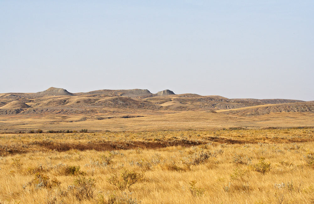 Picture of Grasslands National Park.