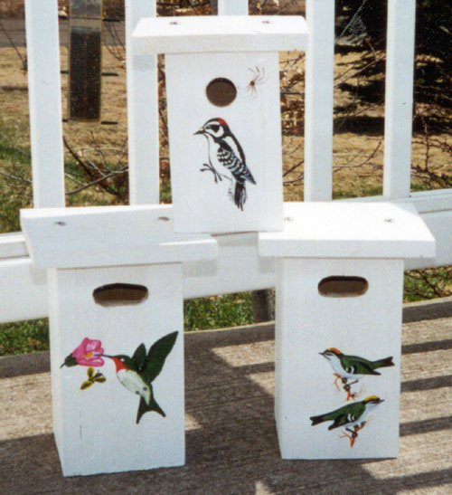 Nest Boxes for Tree Swallows, Black-capped Chickadee and Downy Woodpecker