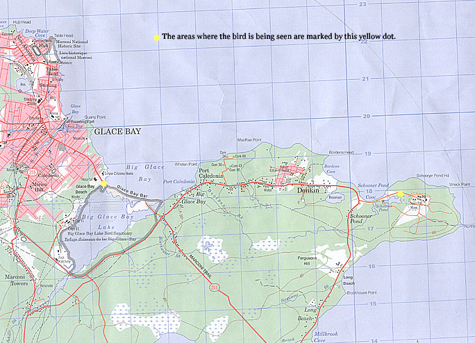 Here is a map showing the 2 locations where the reef Heron is seen..